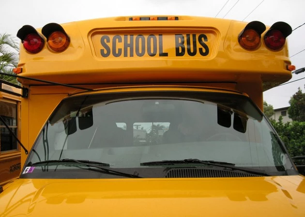 bus