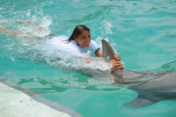 Swimming with Dolphin