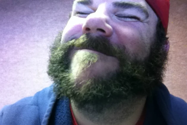 Larry's Beard Larry's Beard