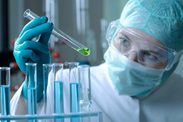 scientist working at the laboratory