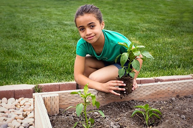 Young Girl Planting a new Plant in her Garden Young Girl Planting a new Plant in her Garden