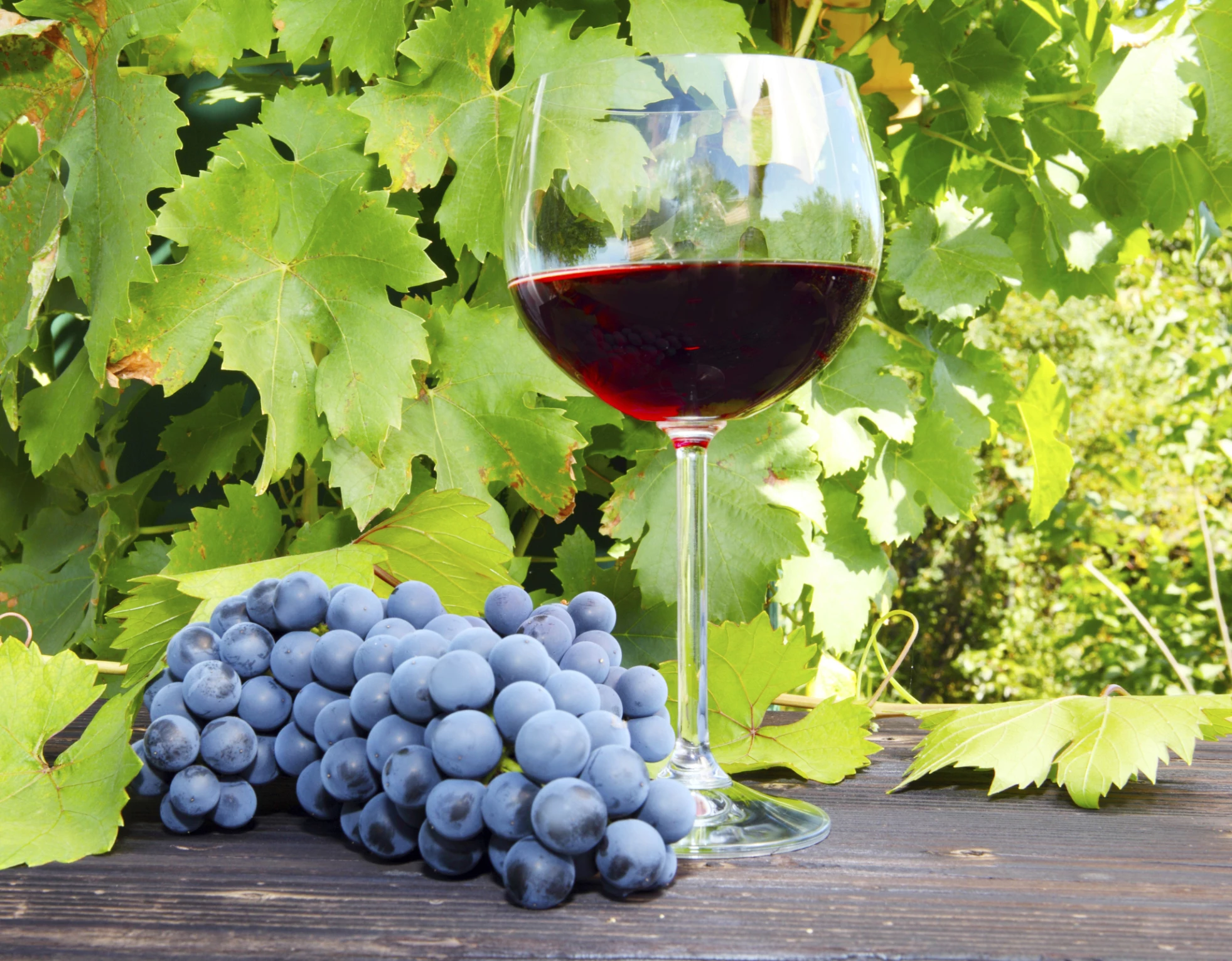 Red wine