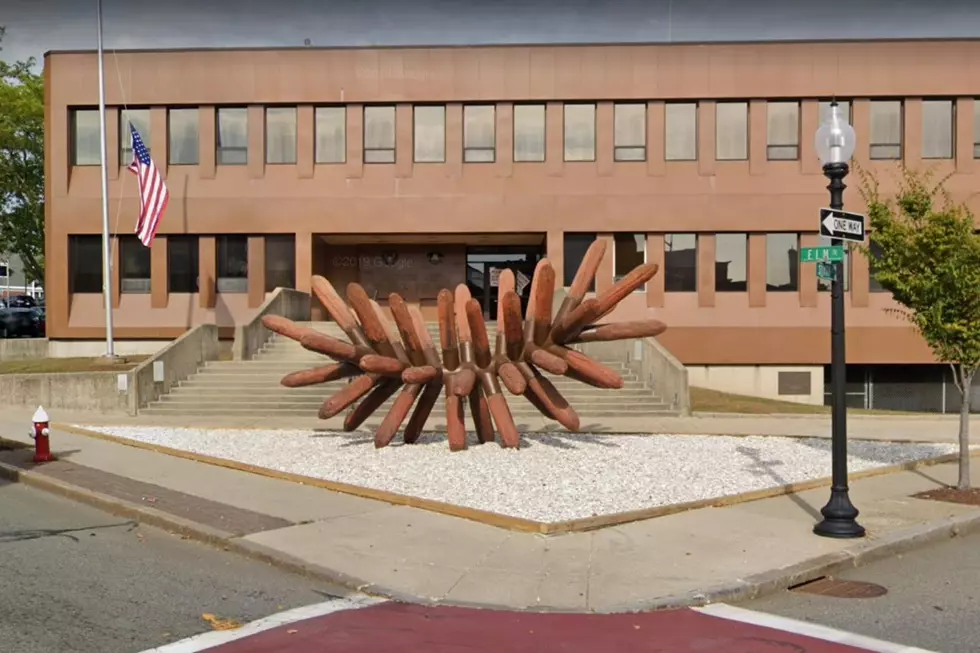 New Bedford’s Sea Flower: You Love It or You Hate It