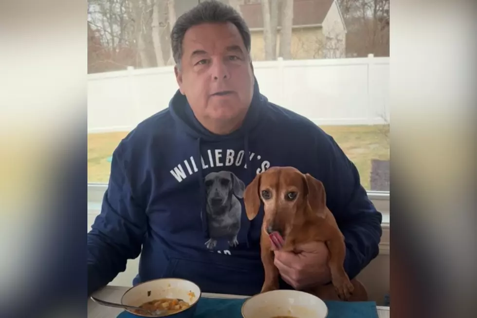 ‘Sopranos’ Star Steve Schirripa Bringing Dog’s Book Tour to Rhode Island