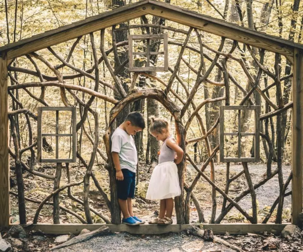Road Trip Worthy: Woodland Fairy Garden