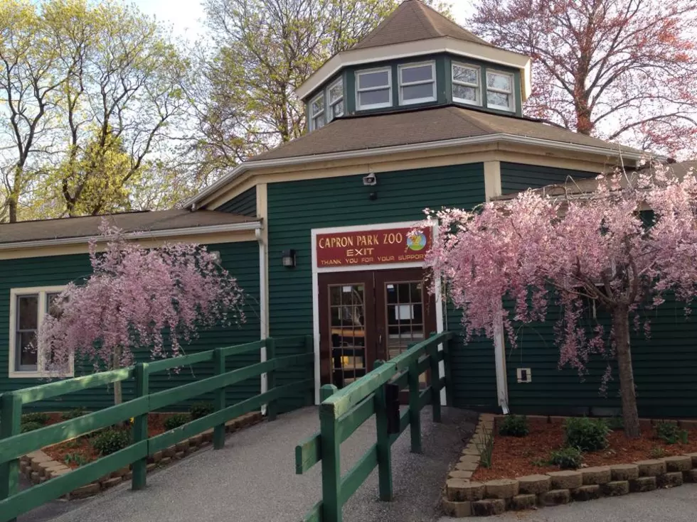 Zoo Moon Returns to Capron Park Zoo This Summer