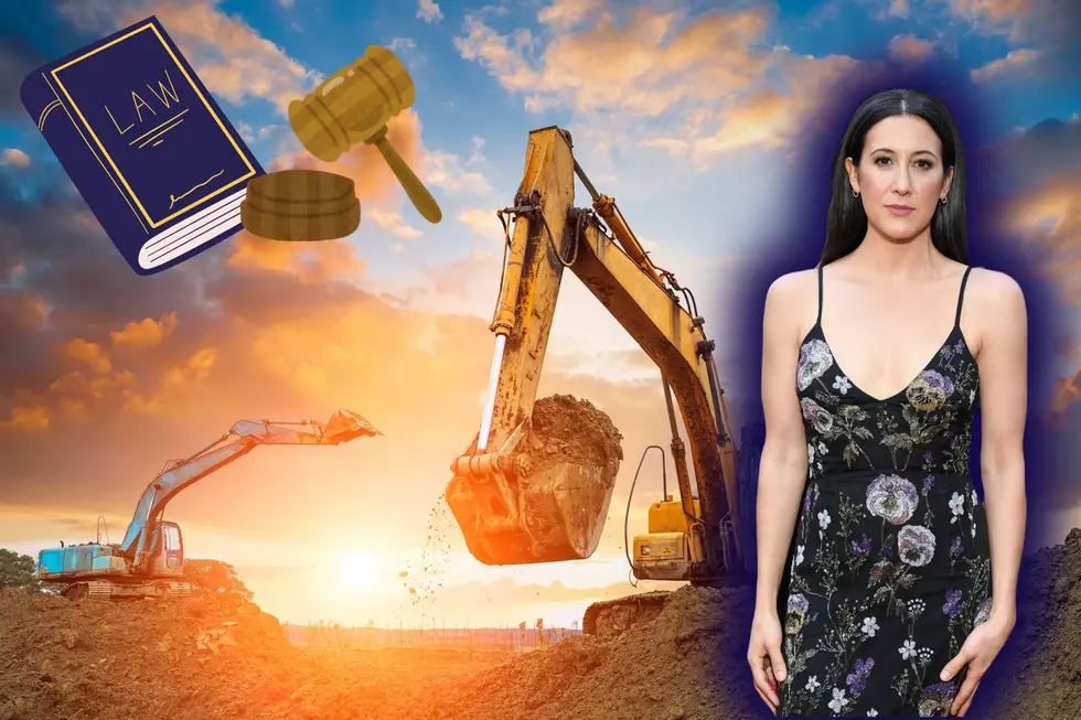 Warwick Homeowner Vanessa Carlton Files Lawsuit Against Noisy Neighbors