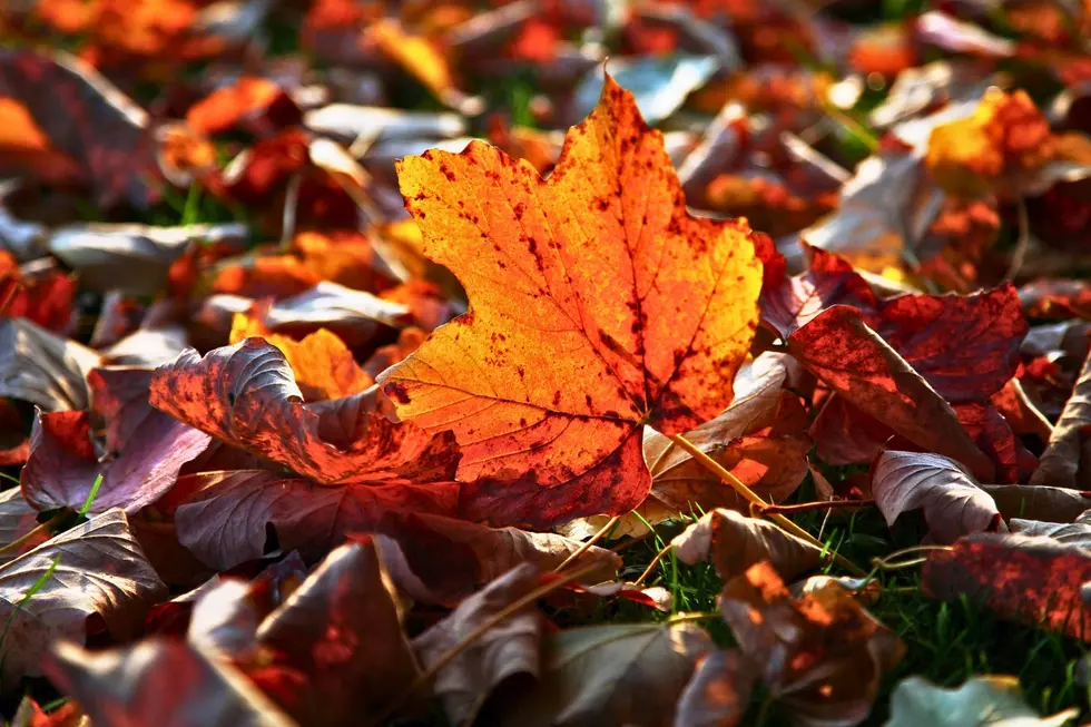 Massachusetts Ranked Among Top 10 U.S. Destinations for Fall Foliage