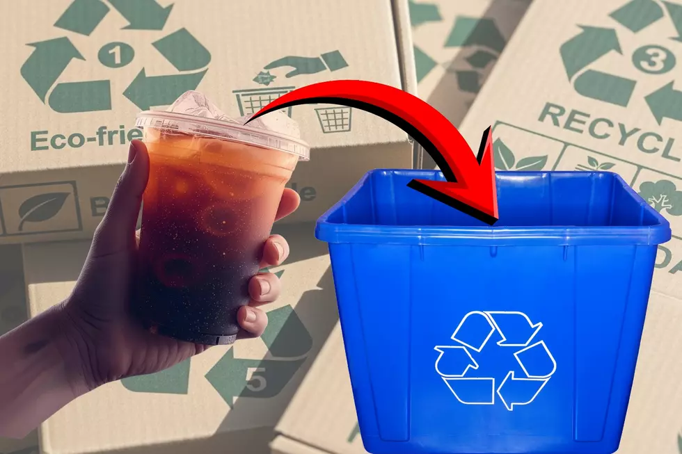New Bedford Residents Can Finally Recycle Plastic Iced Coffee Cups With Their Lids