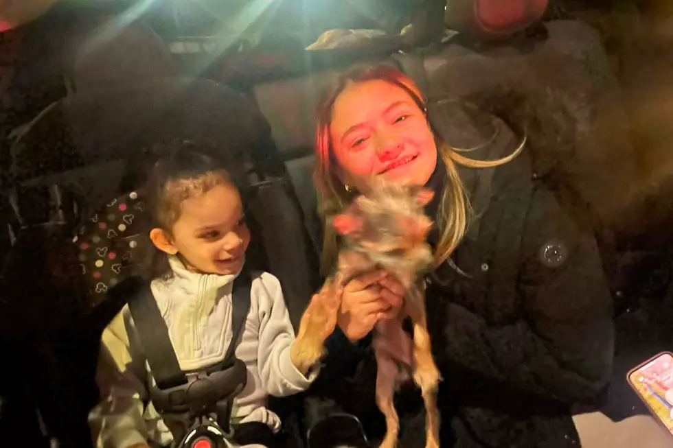 New Bedford Toddler Reunited With Missing Dog ‘Whaler’