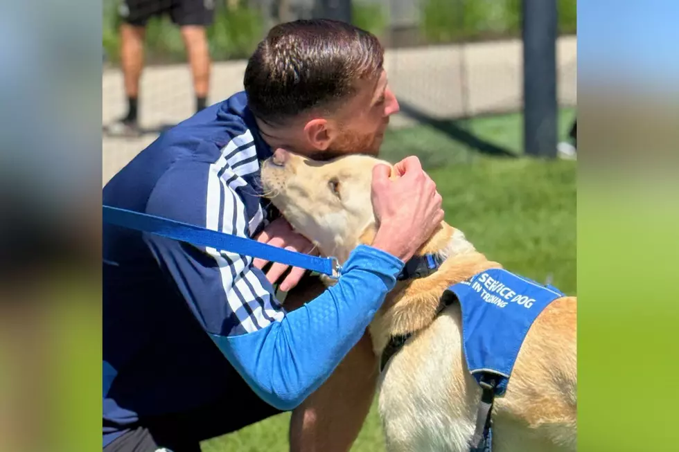 Service Dogs Bring Smiles to New England Revolution Practice