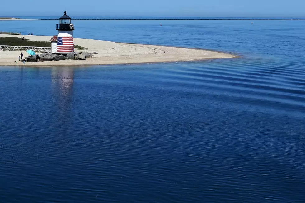Experts Baffled by Wild Discovery at Popular Massachusetts Beach