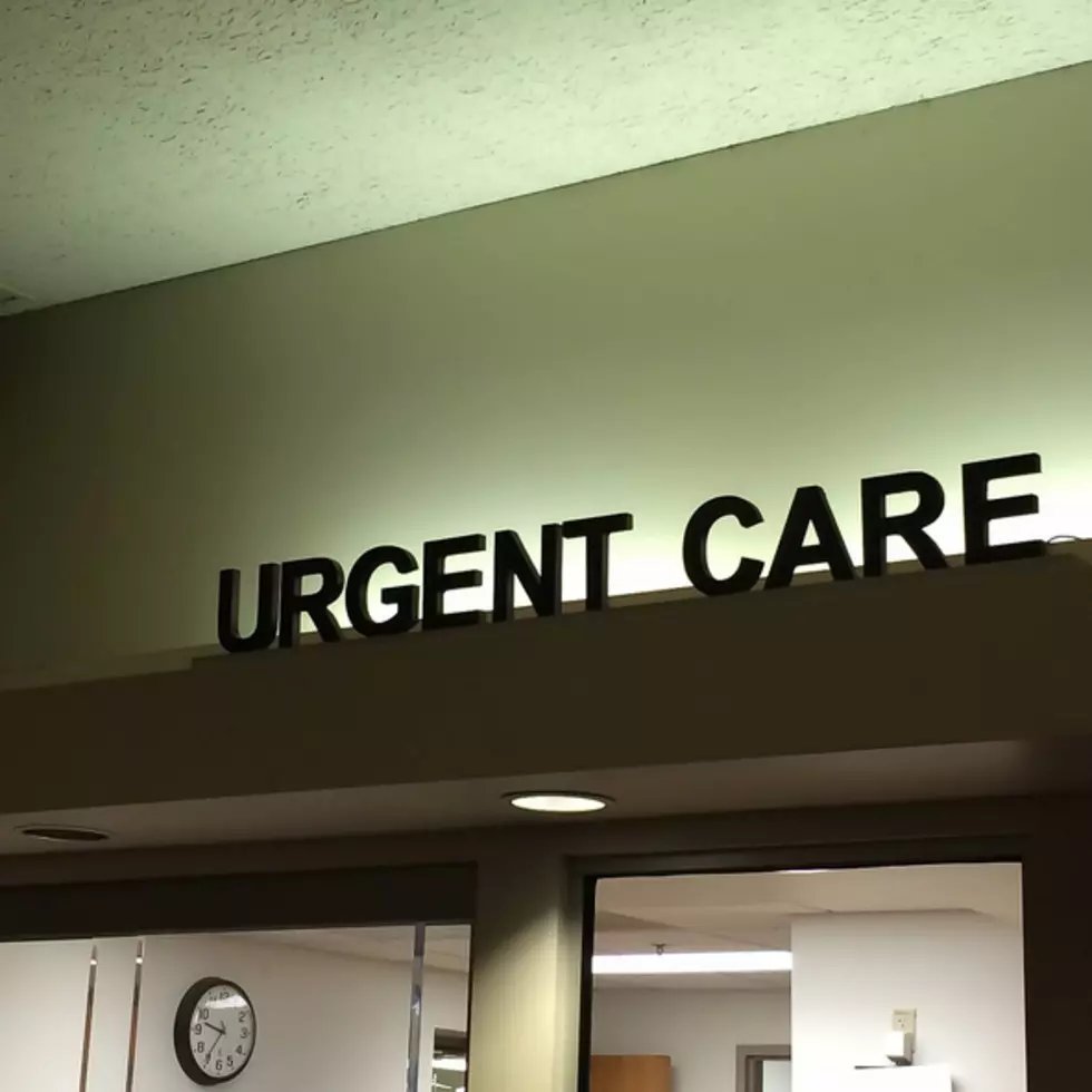 A Few Illnesses That Can Make Summer Unpleasant in Massachusetts